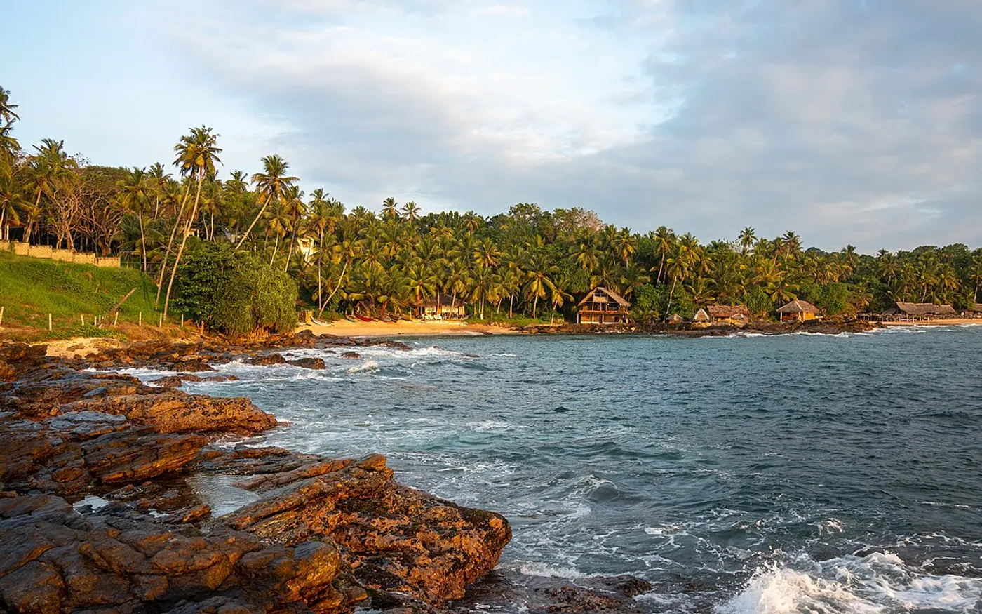 Palm-lined Goyambokka Beach near Tangalle